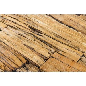 Oválný jídelní stůl BARRACUDA 220cm, teak+sklo  Místnosti 43626