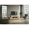 Televizní stolek LOFT 160 CM dub/černá  Místnosti 47811