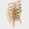 Fotel rattanowy Gastro I
