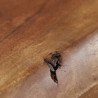 Jídelní stůl z akátu Mammut 220x100  Jídelní stoly 40651