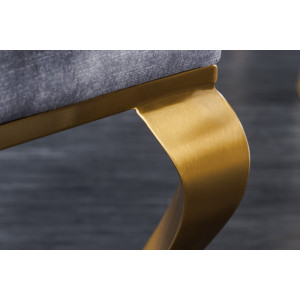 Elegantní židle Baroque se zlatou hlavou lva šedé – sada 2 kusů  Jídelní židle MH423180