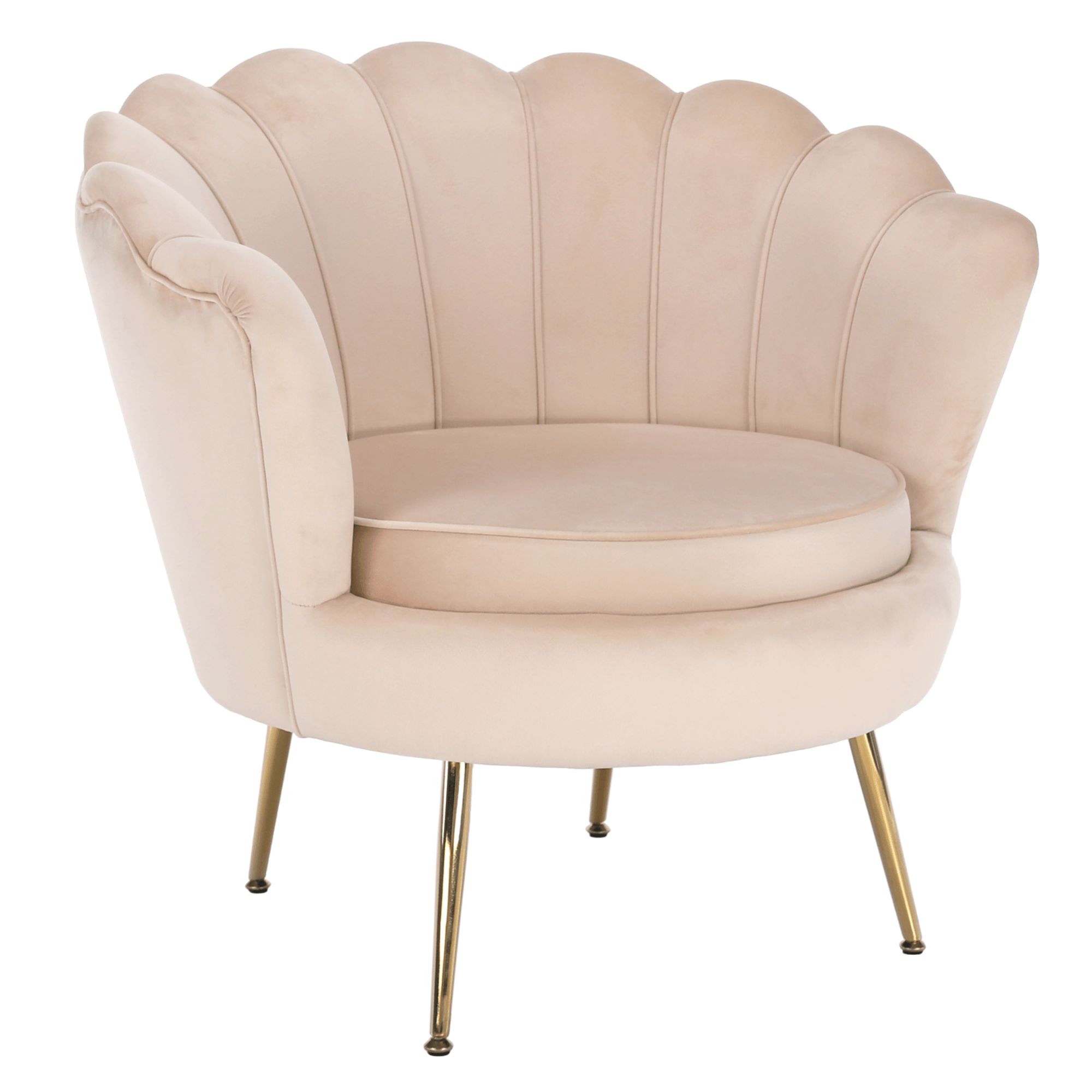 Křeslo NOBELLA - béžová/zlatá  Místnosti MH267588W