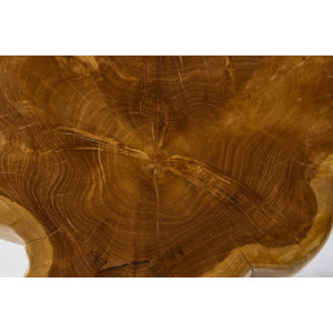 Odkládací stolek WILD ROOT 40 CM masiv teak nature  Konferenční stolky 38237