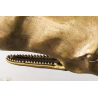 Skulptura WHALE GOLD 70 CM  Doplňky a dekorace 43036
