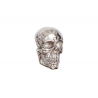 Nástěnná dekorace SKULL 40 CM stříbrná  Doplňky a dekorace 38383