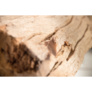 Stojací lampa ROSILIQUE 175 CM béžová  Doplňky a dekorace 17320