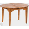 Teakový stůl rozkládací ELEGANTE 120x160-220 cm  Zahradní stoly a stolky 11022